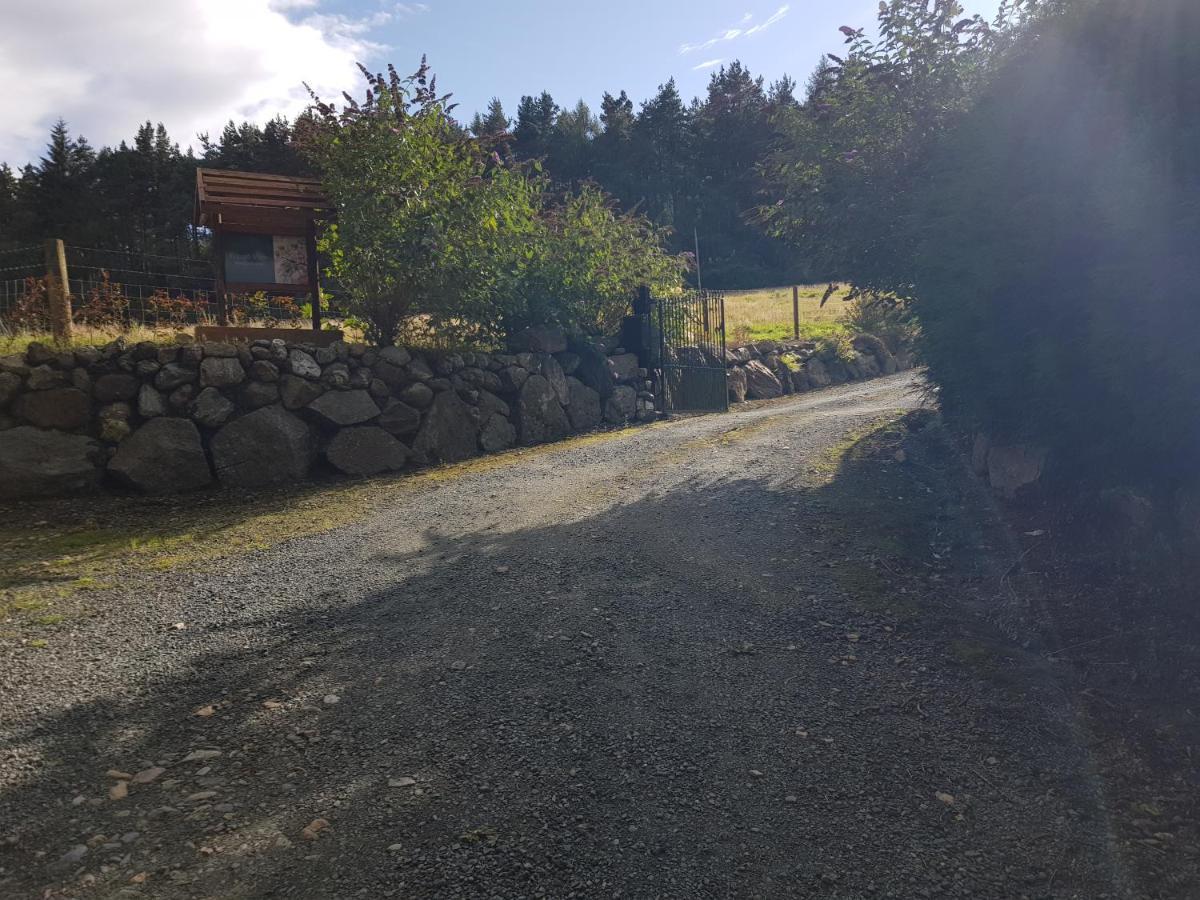 Forest View Woodland Lodge Ballard Luaran gambar