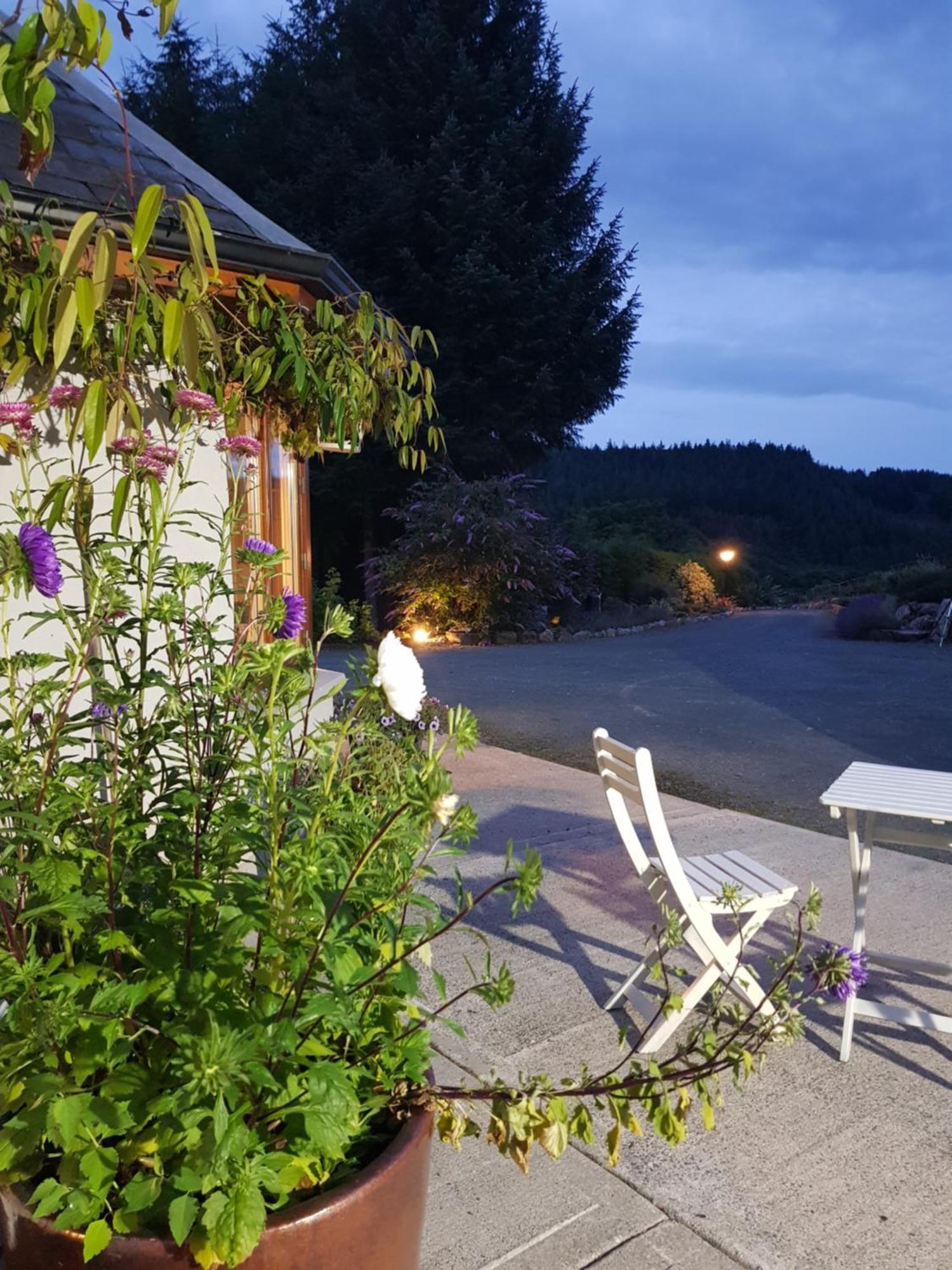 Forest View Woodland Lodge Ballard Luaran gambar